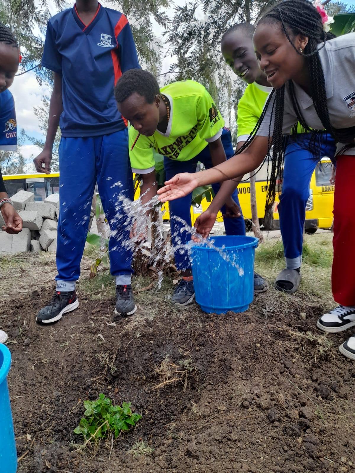 Lakewood Aerial View